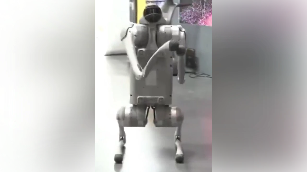 Indian university removed from AI summit over Chinese robot claim