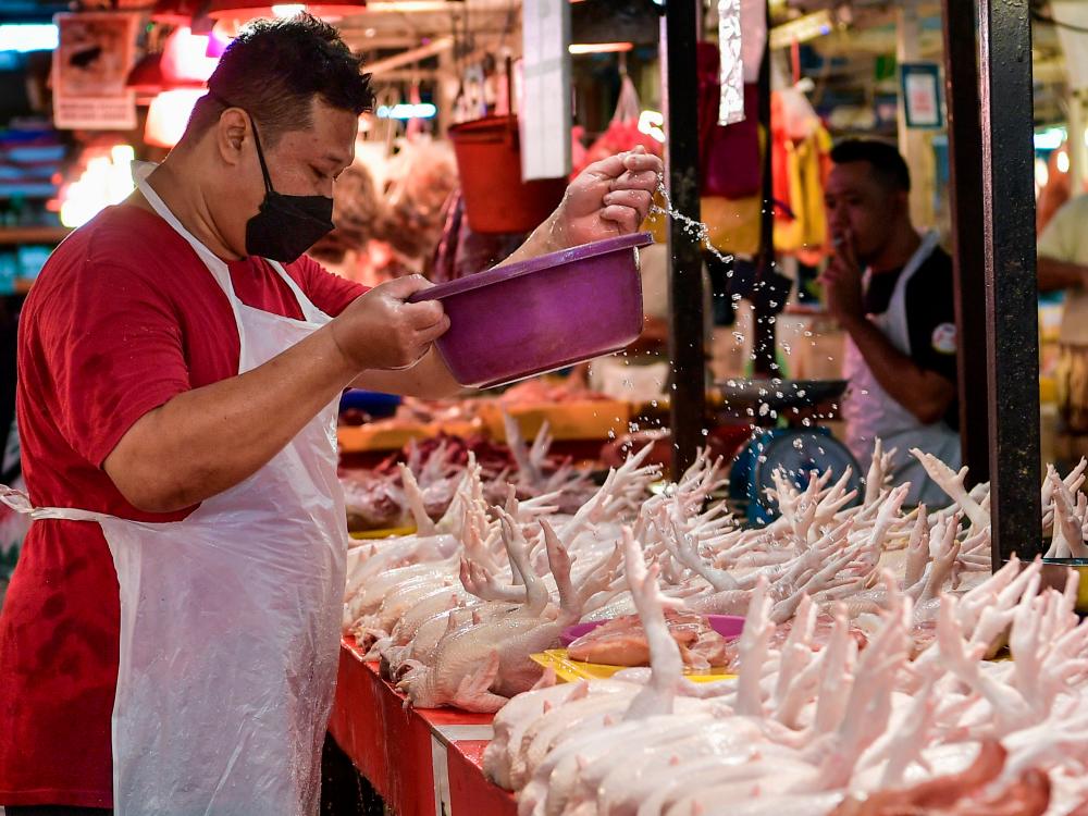 KPDN implements three steps to monitor chicken prices - Armizan