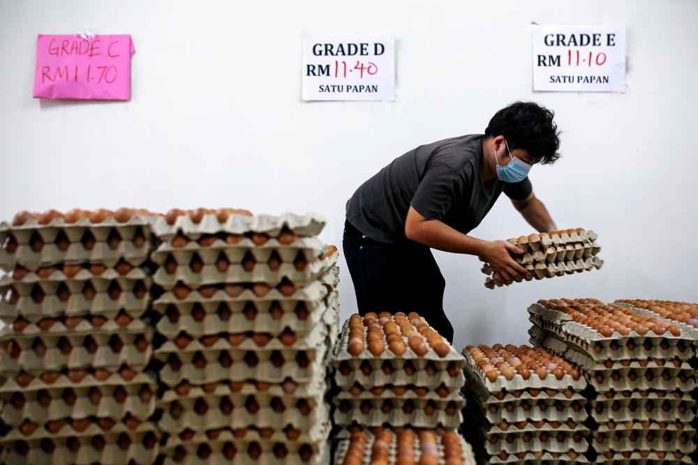 KPDN jamin bekalan ayam, telur mencukupi sepanjang Ramadan hingga menjelang Aidilfitri