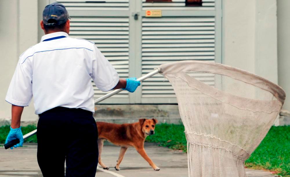 Kematian warga emas semasa operasi anjing liar diklasifikasikan mati mengejut