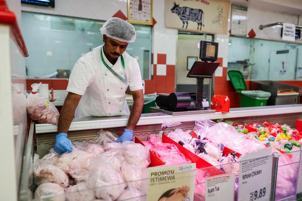 Keputusan signifikan tamatkan subisidi ayam, sumber kewangan salur untuk bantuan sosial