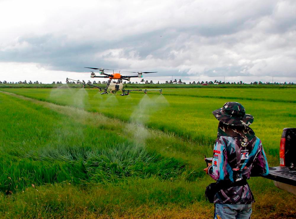 LPP monitoring effects of hot spell on agriculture sector LPP monitoring effects of hot spell on agriculture sector