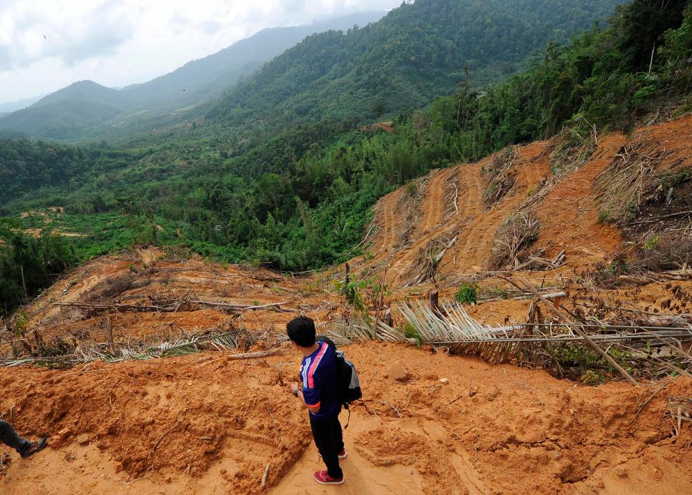 Land encroachment: Enforcement action taken based on solid evidence - Pahang MB Land encroachment: Enforcement action taken based on solid evidence - Pahang MB