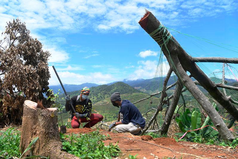 Lebih 86 juta pokok ditanam sejak Kempen Penanaman 100 Juta Pokok