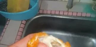 M'sian discovers worm in his fried chicken purchased from Senawang Ramadan bazaar, reports to authorities
