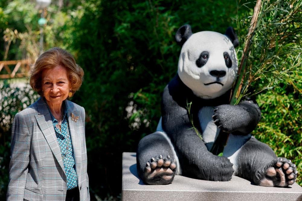 Madrid’s zoo welcomes new giant panda bear couple Madrid’s zoo welcomes new giant panda bear couple