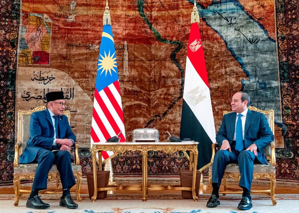 Malaysia, Egypt want western nations to pressure Israel into ceasing Gaza attacks: Anwar