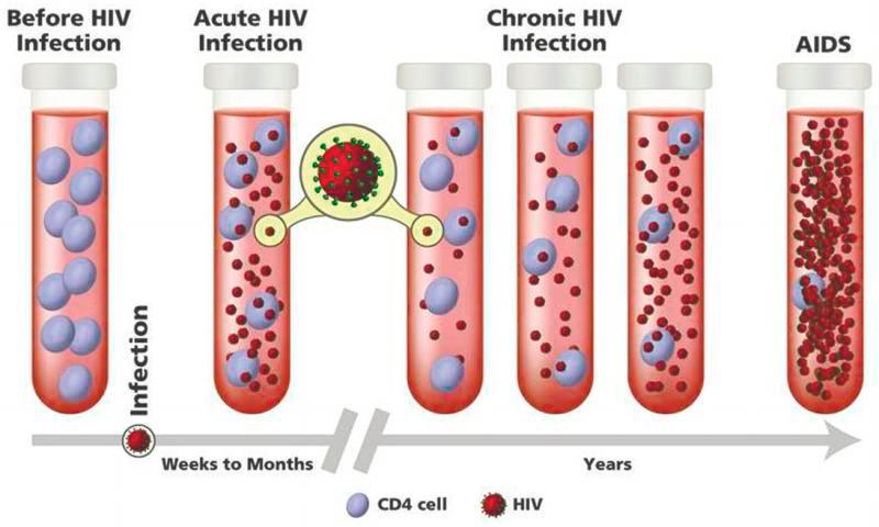 Malaysian youths lack knowledge on HIV Malaysian youths lack knowledge on HIV