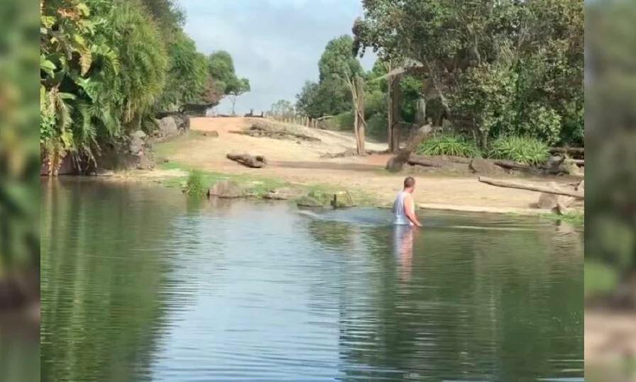 Man arrested after bathing in rhino pen at New Zealand zoo Man arrested after bathing in rhino pen at New Zealand zoo
