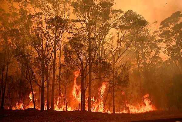 Man dies as dozens of bushfires rage across Australia Man dies as dozens of bushfires rage across Australia