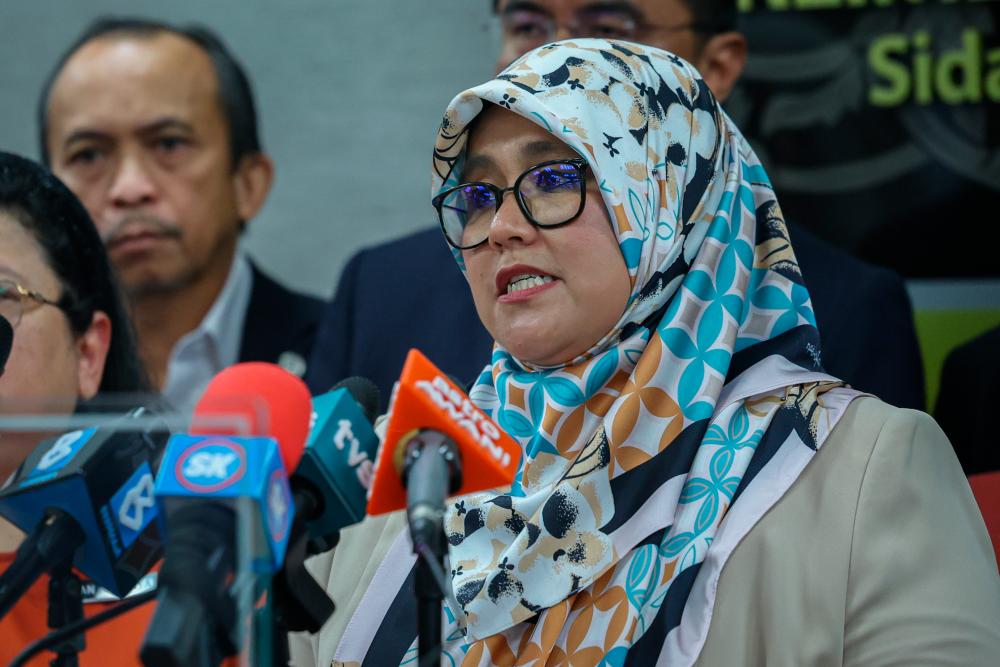Mas Ermieyati: Masukkan peranan PAC dalam pindaan Akta Audit Mas Ermieyati: Masukkan peranan PAC dalam pindaan Akta Audit