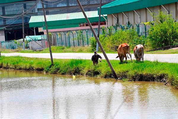 Missing teen found drowned in canal Missing teen found drowned in canal