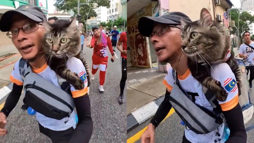M’sian man running with his cat at KL marathon wins netizens’ hearts M’sian man running with his cat at KL marathon wins netizens’ hearts