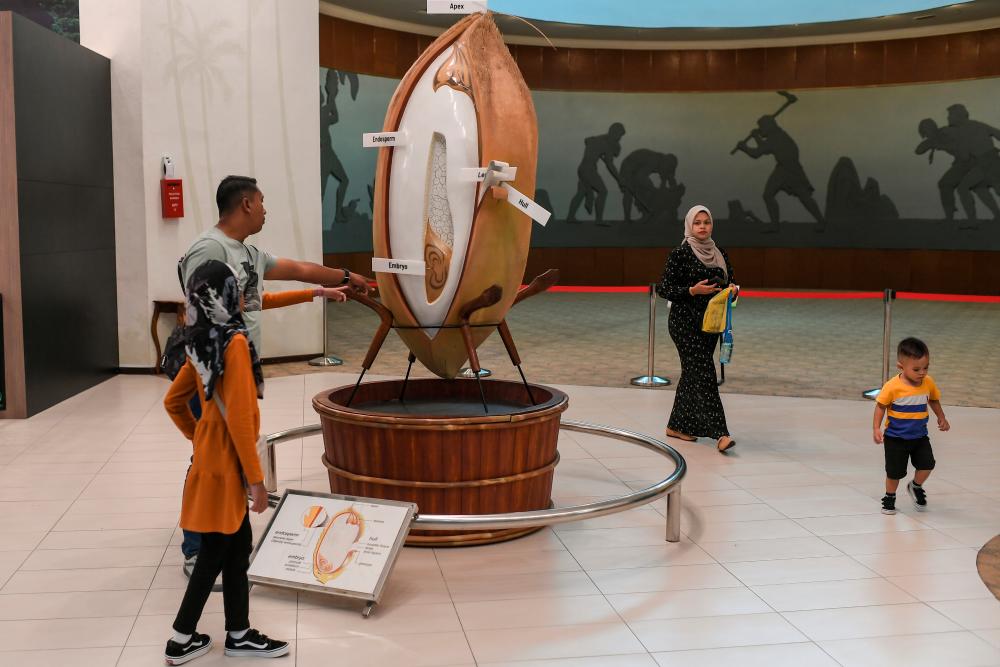 Muzium Padi jadi tumpuan pengunjung pada cuti sekolah Muzium Padi jadi tumpuan pengunjung pada cuti sekolah