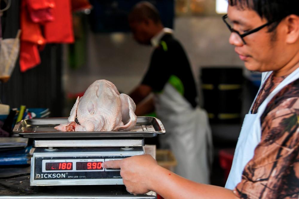MyCC: Supply and price of chicken stable despite removal of subsidy 