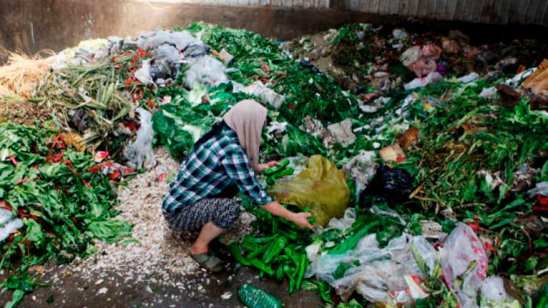 NGO rescues ‘lost food’ to feed the hungry NGO rescues ‘lost food’ to feed the hungry