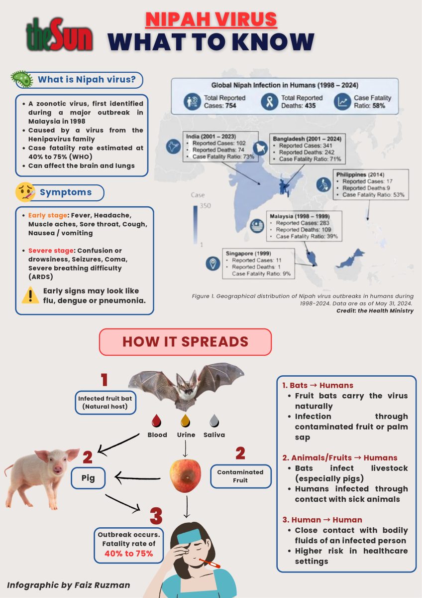 Malaysia better prepared for nipah virus, but early detection remains tough