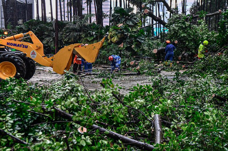 Narrow escape for Melaka CM in KL tree-falling incident