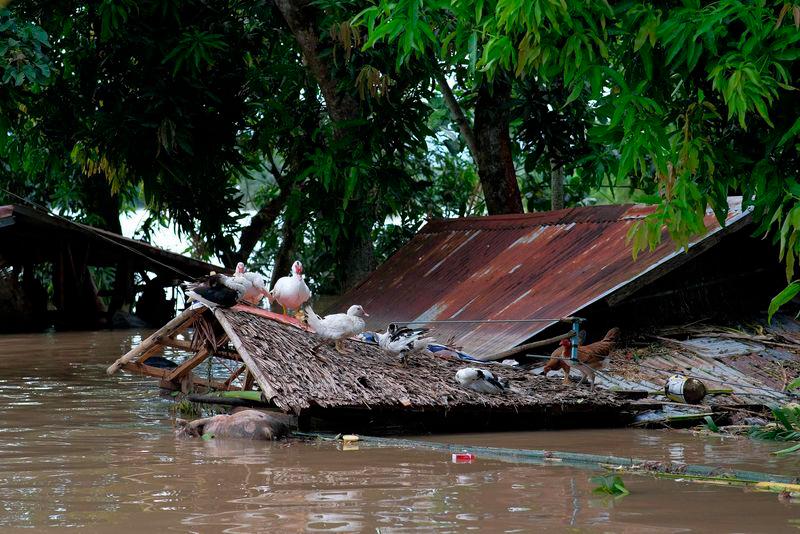 New storm bears down on Philippines after deadly Trami New storm bears down on Philippines after deadly Trami