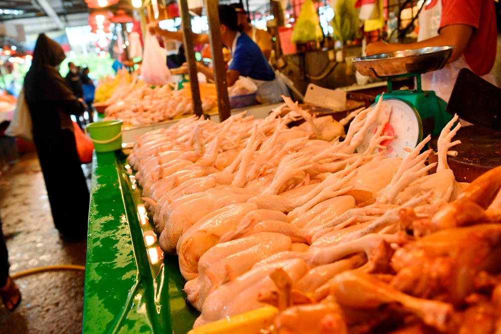 No traders found selling chicken above ceiling price during fasting month No traders found selling chicken above ceiling price during fasting month