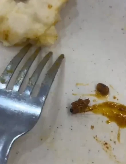 _No_proper_apology__-_Customer_finds_baby_cockroach_in_fish_curry_in_Klang_restaurant
