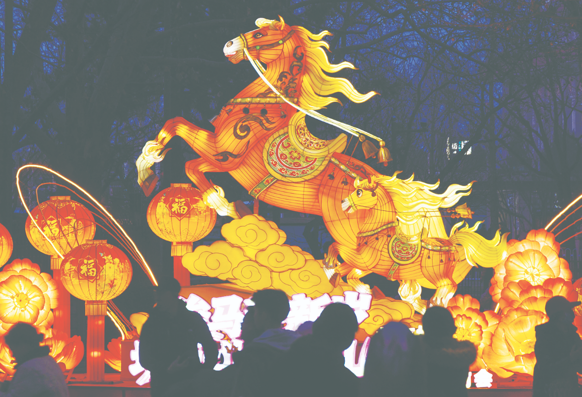P11_-_SU_-_Horse-n
