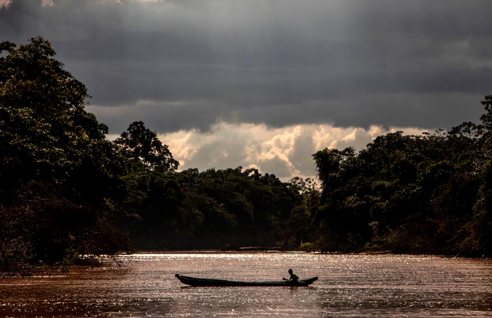 ‘Patrol’ film exposes Nicaragua forest threat from beef industry