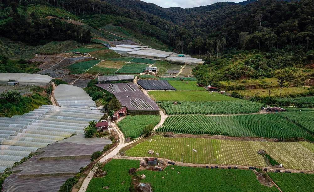 Pelancong hilang : SAR di gunung jasar temukan kesan tapak kaki kemungkinan jejak mangsa Pelancong hilang : SAR di gunung jasar temukan kesan tapak kaki kemungkinan jejak mangsa