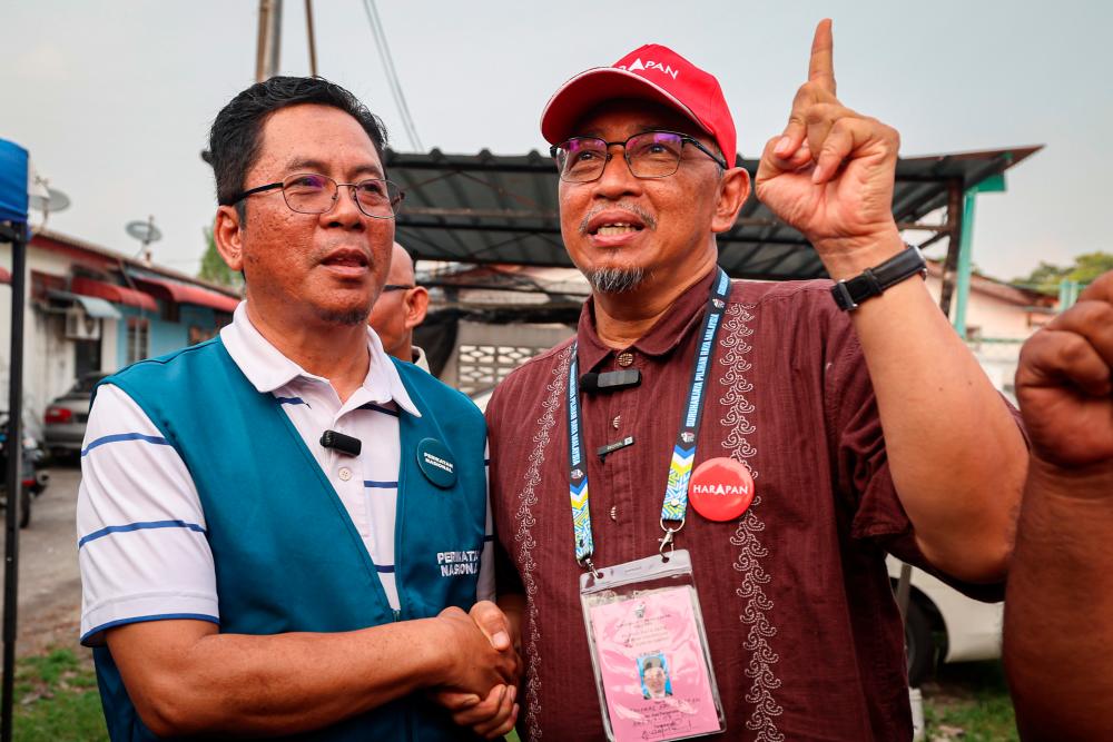 Penang Assembly: Silicon Island development to address industrial land shortage 