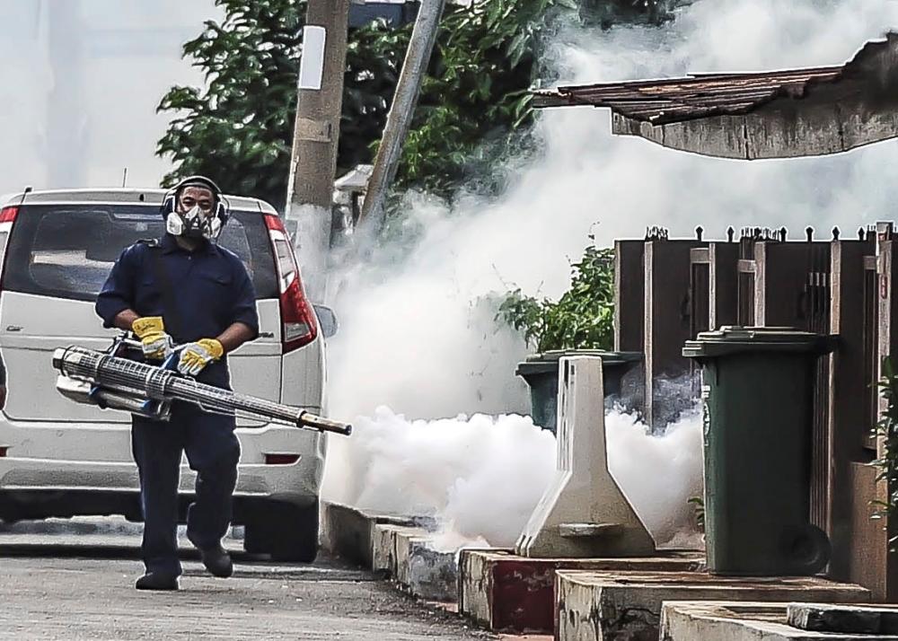 Penang records spike in dengue cases Penang records spike in dengue cases