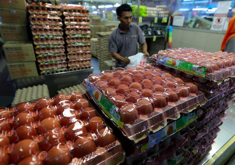 Penurunan harga telur ayam gred A, B, C sebanyak 3 sen sebiji dikuatkuasa hari ini - PM Penurunan harga telur ayam gred A, B, C sebanyak 3 sen sebiji dikuatkuasa hari ini - PM