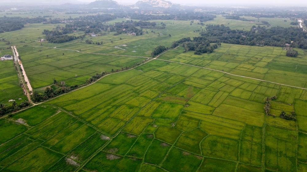 Permohonan untuk Program Biasiswa Kerajaan Rusia kini dibuka untuk warganegara Malaysia yang layak Permohonan untuk Program Biasiswa Kerajaan Rusia kini dibuka untuk warganegara Malaysia yang layak