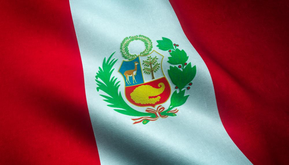 Peru declares health emergency due to spike in Guillain-Barre syndrome cases