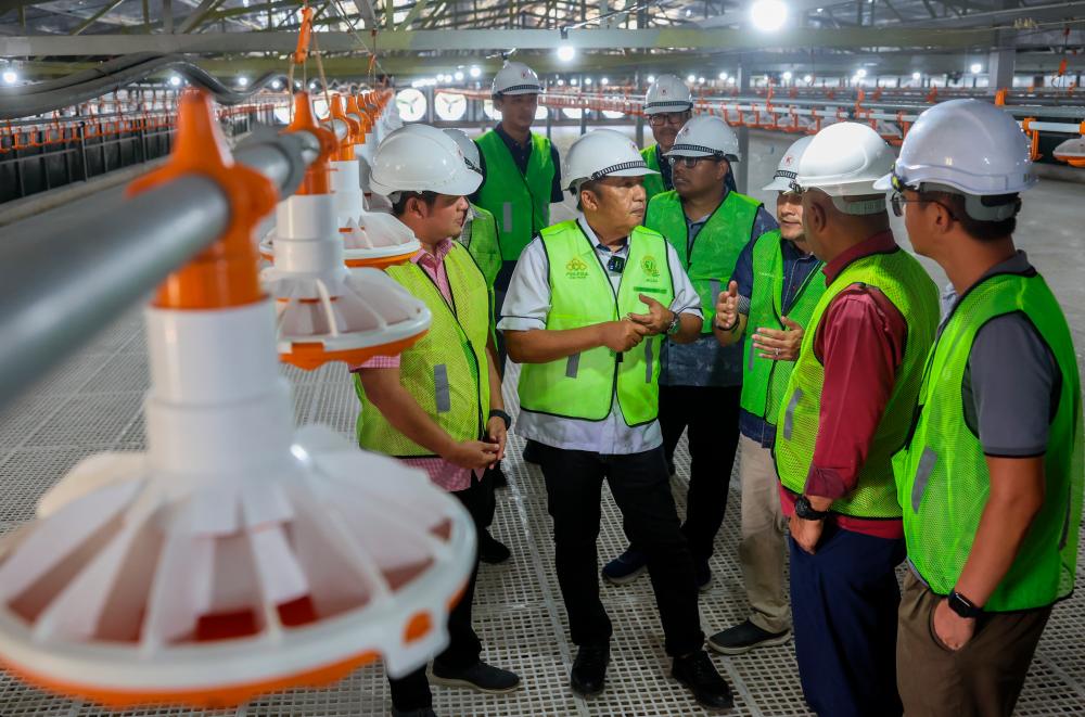 Phase one of Felcra's broiler chicken complex in Rompin to be ready by February next year