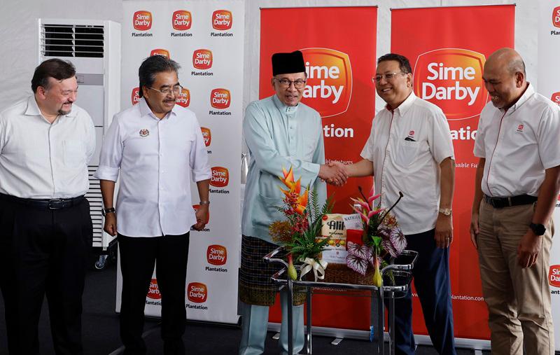 Plantation sector urged to increase the use of technology, avoid deforestation Plantation sector urged to increase the use of technology, avoid deforestation