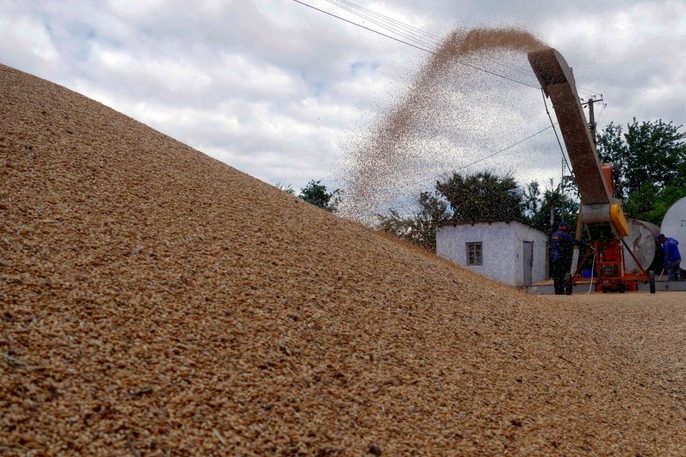 Polish ban on Ukrainian grain and food imports to apply to transit, says minister