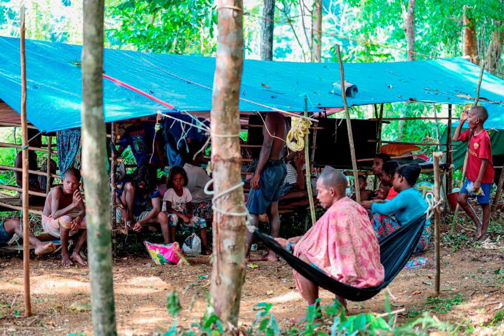 Pos Belatim Orang Asli gripped by fear of tiger after pet dogs found dead Pos Belatim Orang Asli gripped by fear of tiger after pet dogs found dead