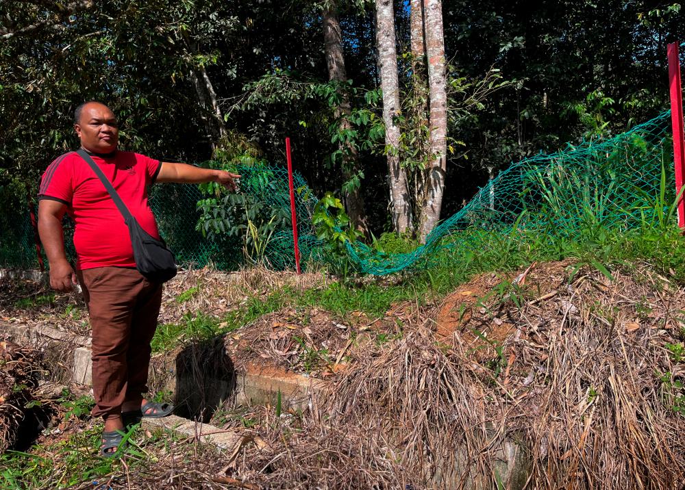 Pos Brooke Orang Asli in fear of frequent elephant encroachment