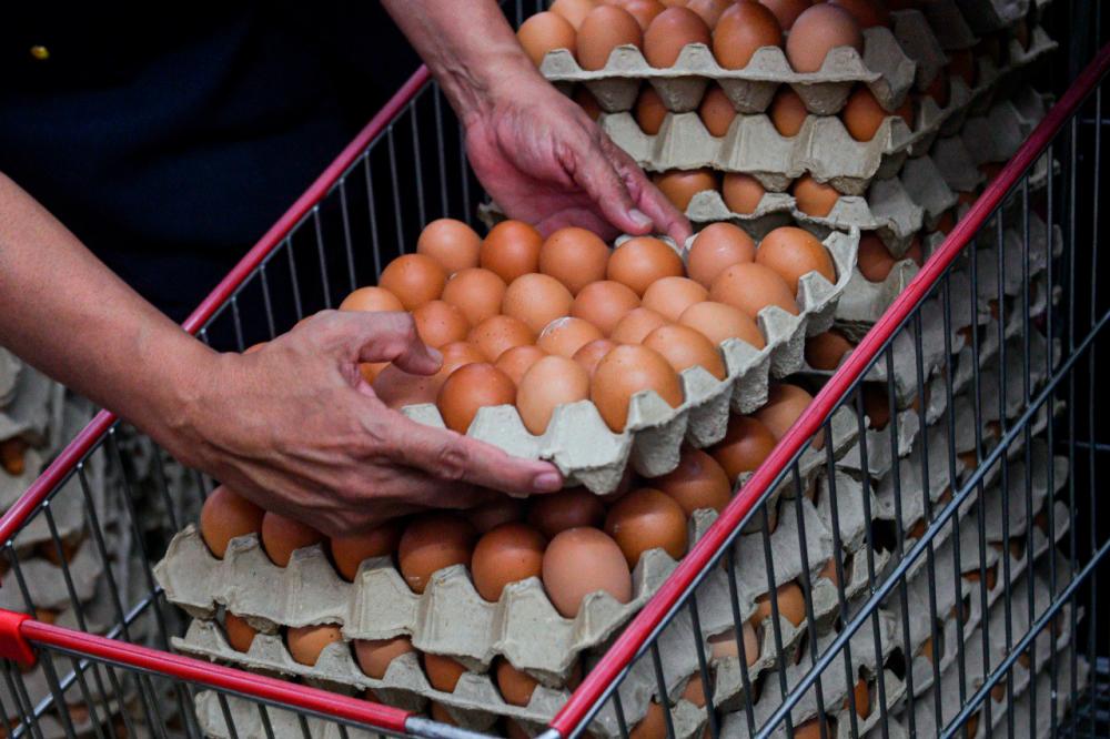 Proposal to lift price controls on chicken, eggs to allow market to move freely - KPKM