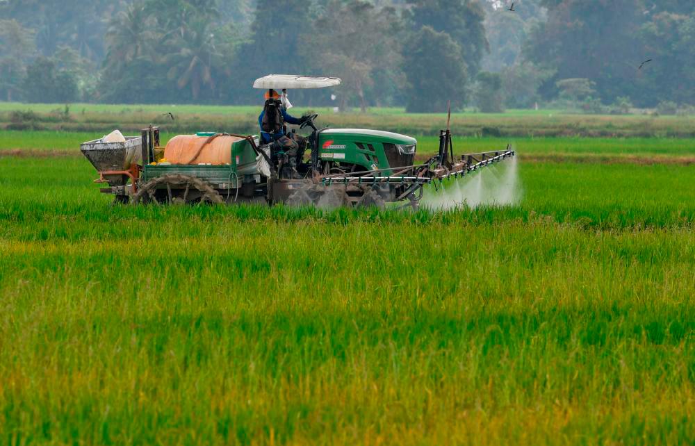 SKM encourages cooperatives to venture into agriculture sector to guarantee food supply