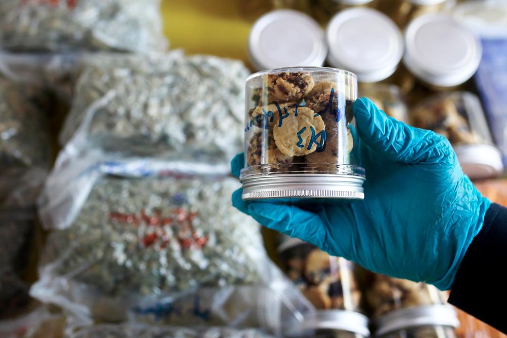 Sabah Customs foil attempt to smuggle drugs using courier service