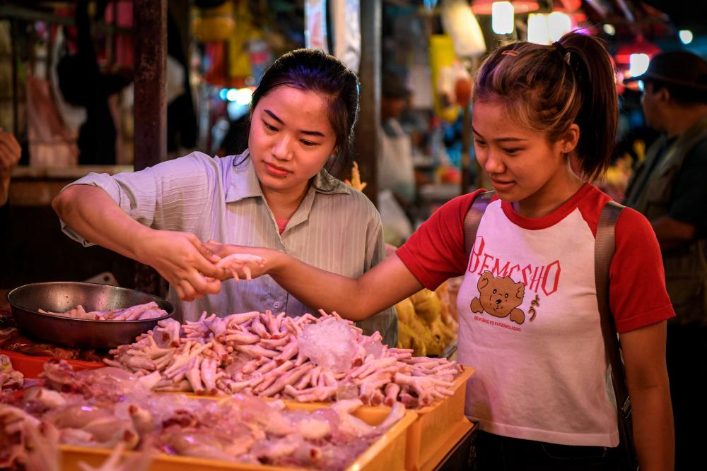 Savings from discontinuation of chicken subsidies should fund key initiatives, says academician Savings from discontinuation of chicken subsidies should fund key initiatives, says academician