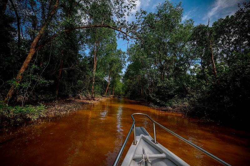 Set up special panel to tackle Sungai Linggi pollution issue - Exco
