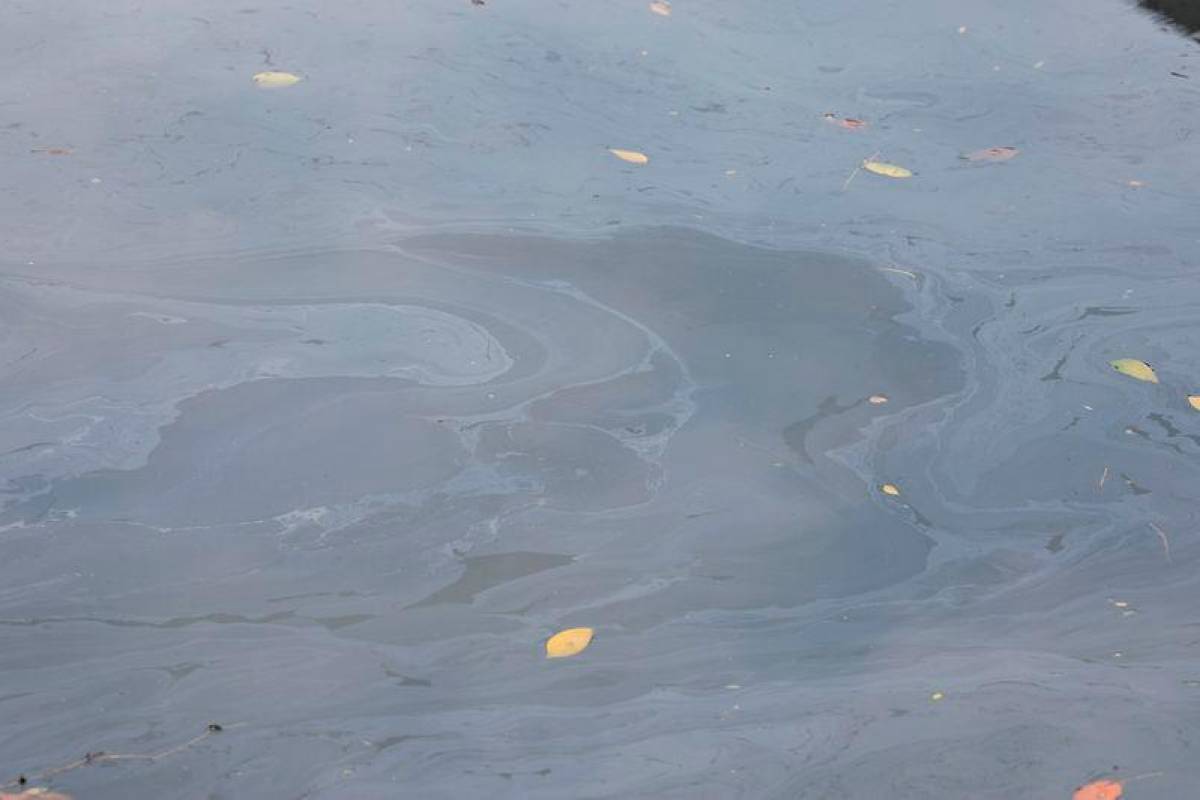 Sungai Teritip pollution believed to be due to oil waste disposal Sungai Teritip pollution believed to be due to oil waste disposal