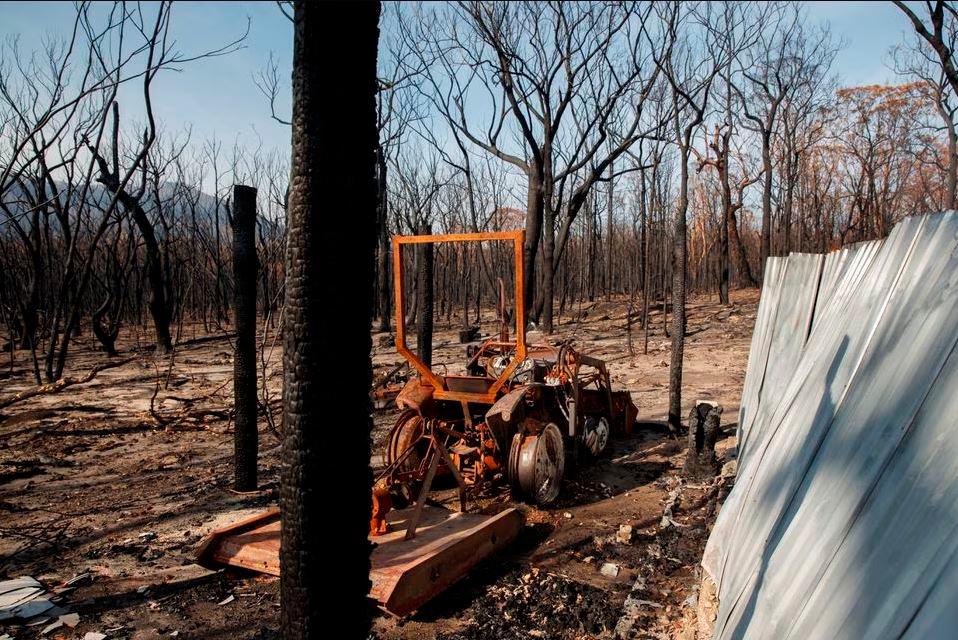 Sydney issues total fire bans as heatwave grips Australia
