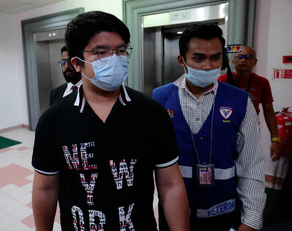 Teenager sentenced to whipping for animal cruelty Teenager sentenced to whipping for animal cruelty