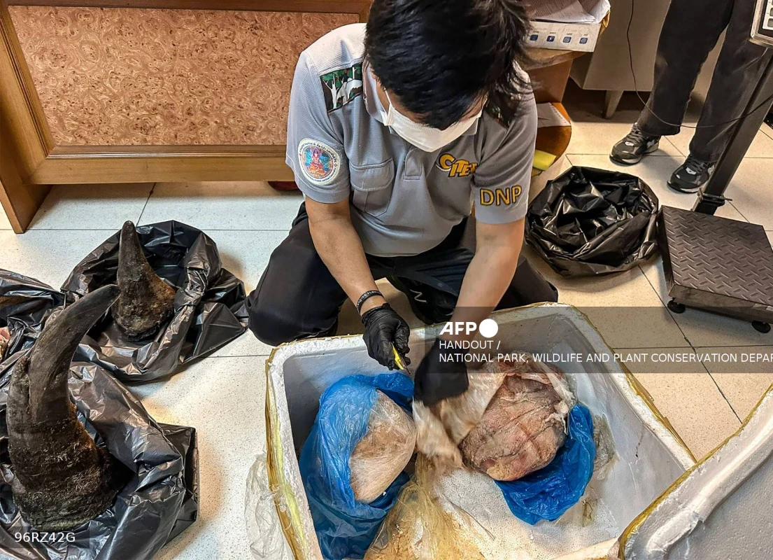 Thai_man_arrested_for_smuggling_rhino_horn_in_meat_at_Bangkok_airport