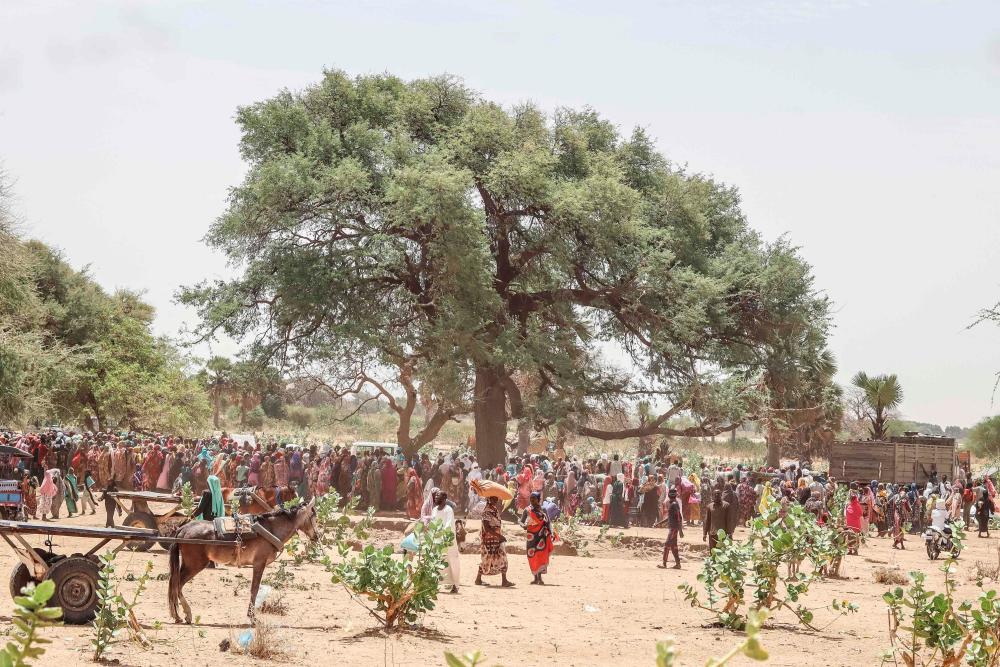 Thousands of Sudanese make perilous trek to safety in Chad