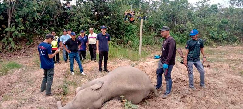 Three killed, including two siblings, after MPV skids and lands in ditch