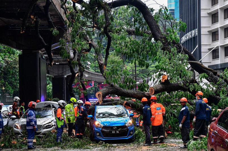 Tree tragedy: E-hailing driver discharged, Swedish passenger still being treated Tree tragedy: E-hailing driver discharged, Swedish passenger still being treated